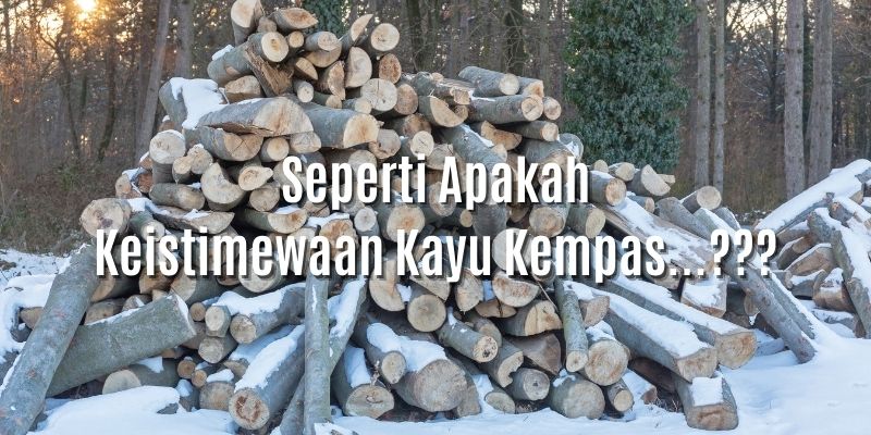 keistimewaan kayu kempas