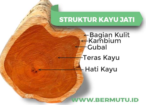 Mengenal karakteristik kayu Jati