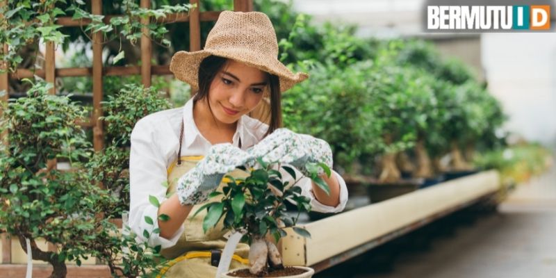 7 cara mudah membuat rumah yang sehat untuk keluarga - menata area taman