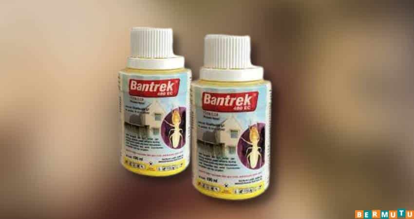 Bantrek