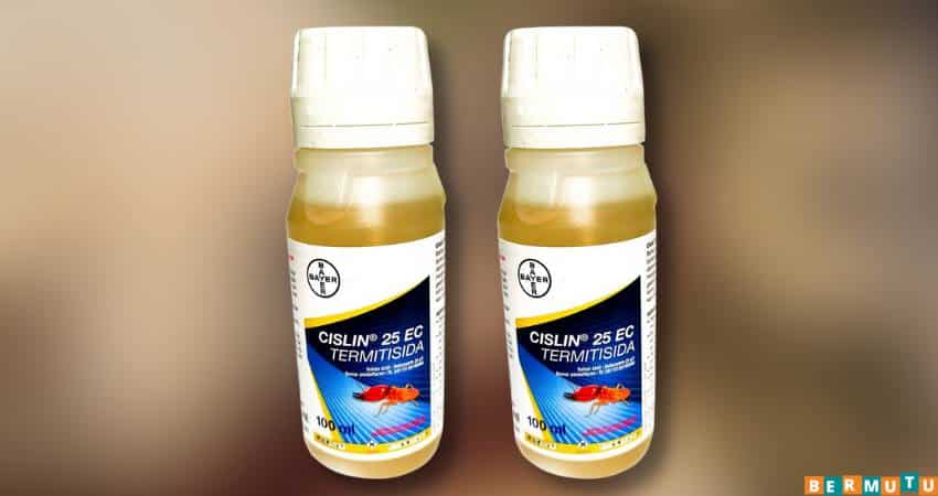 Bayer Cislin