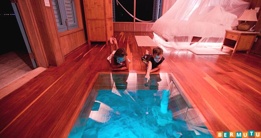Desain Lantai Kaca Untuk Kolam Ikan