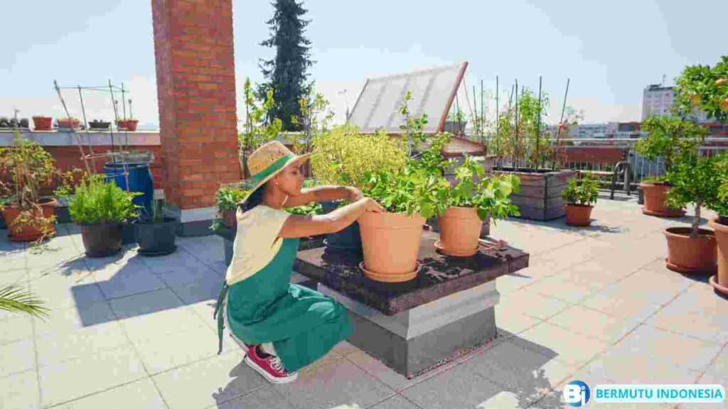 Desain Taman Atap Mediterania