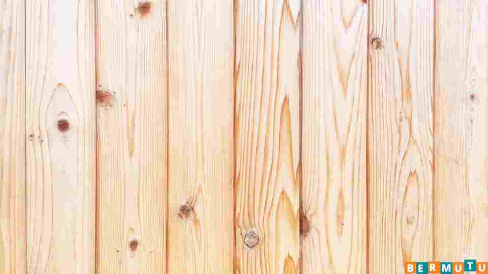 Jenis Kayu Terbaik Untuk Pagar Rumah - kayu cypress
