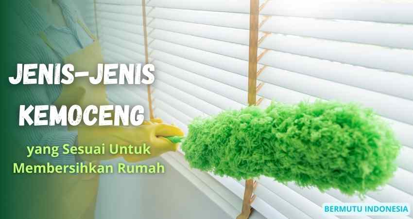 Jenis-jenis Kemoceng