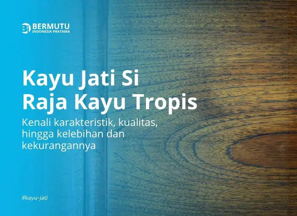 Kayu Jati Si Raja Kayu Tropis Ciri Kualitas dan Keunggulannya