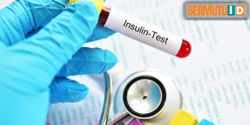 manfaat kayu manis - 5. Dapat Meningkatkan Hormon Insulin