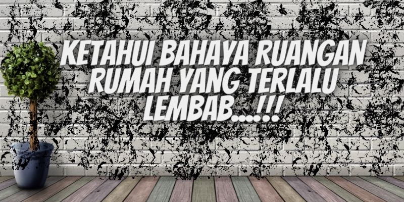 Ketahui Bahaya Ruangan Rumah yang Terlalu Lembab