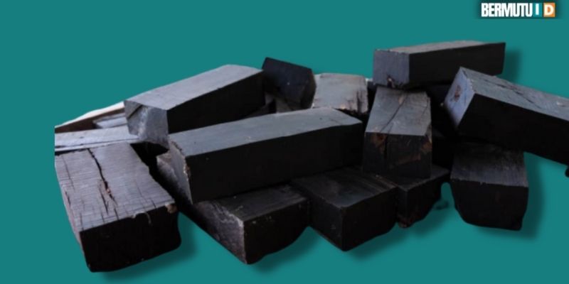 Mitos & Spesifikasi Kayu Hitam Kalimantan