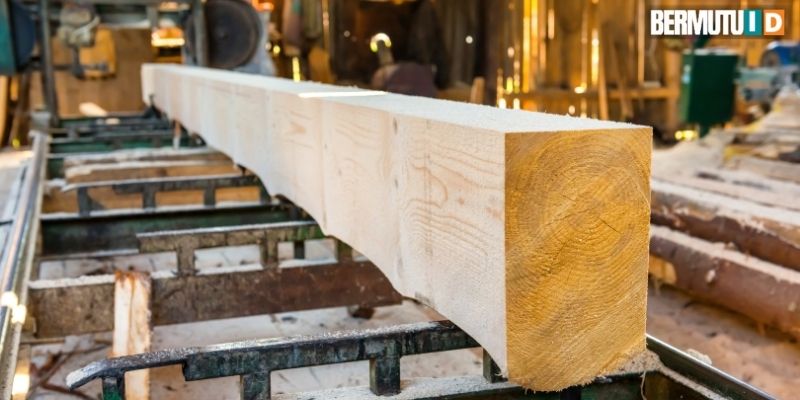 Berkenalan Dengan Kayu Rasamala 4 spesifikasi Kayu Rasamala