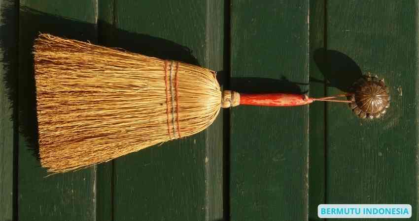 Sapu Serat Alami