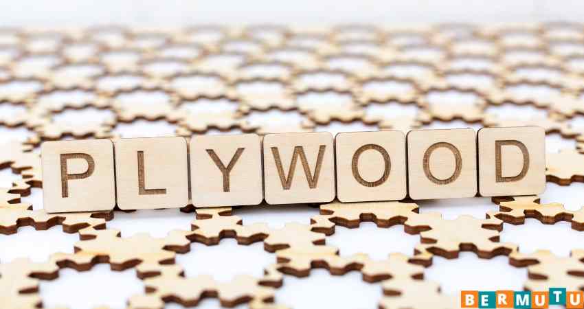 Sejarah Plywood