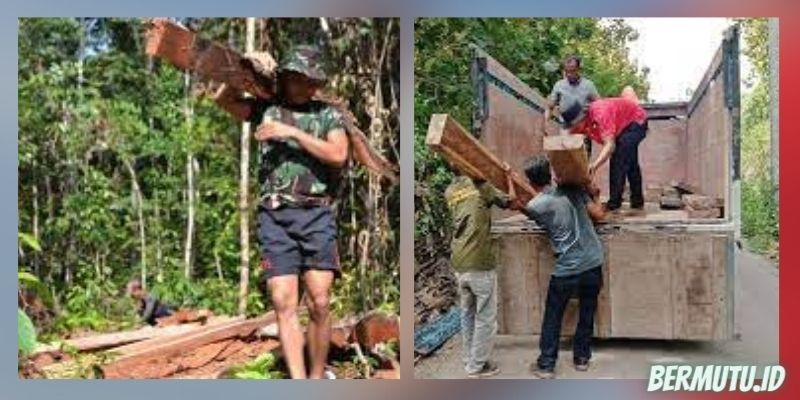keunggulan kayu walnut - Bobotnya yang Tidak Terlalu Berat