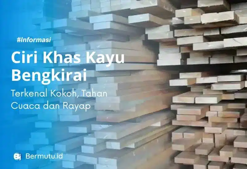ciri khas kayu bengkirai