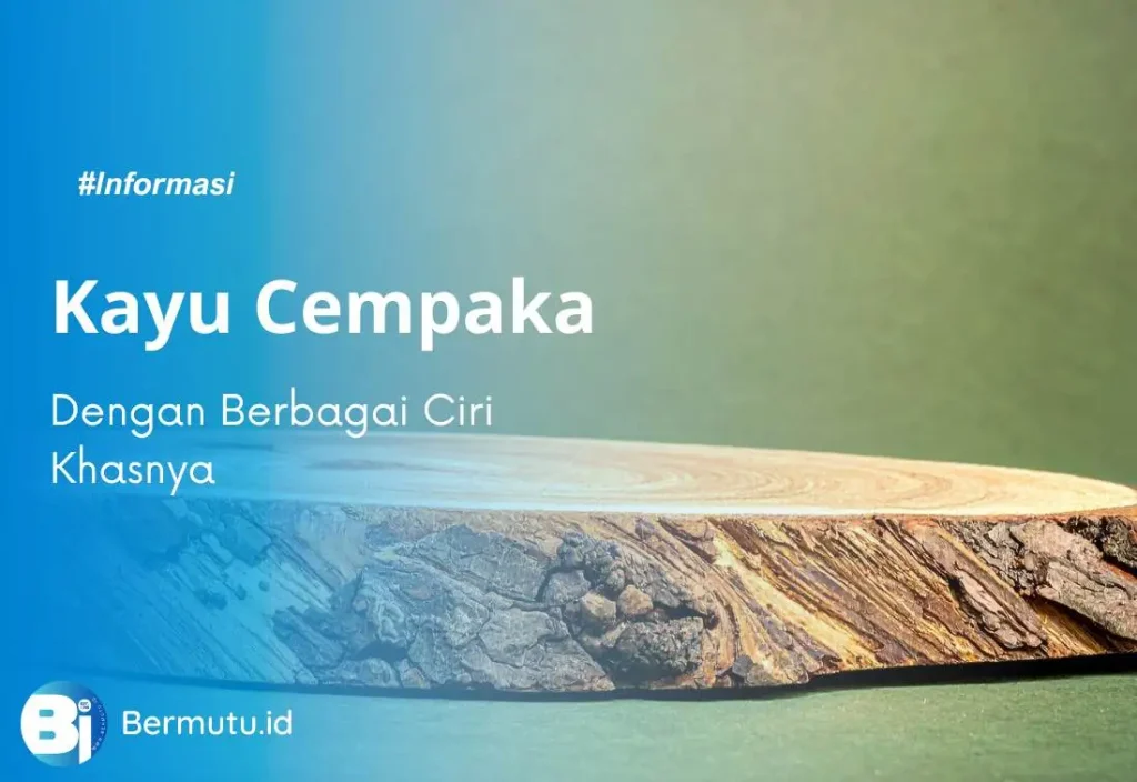 ciri khas kayu cempaka