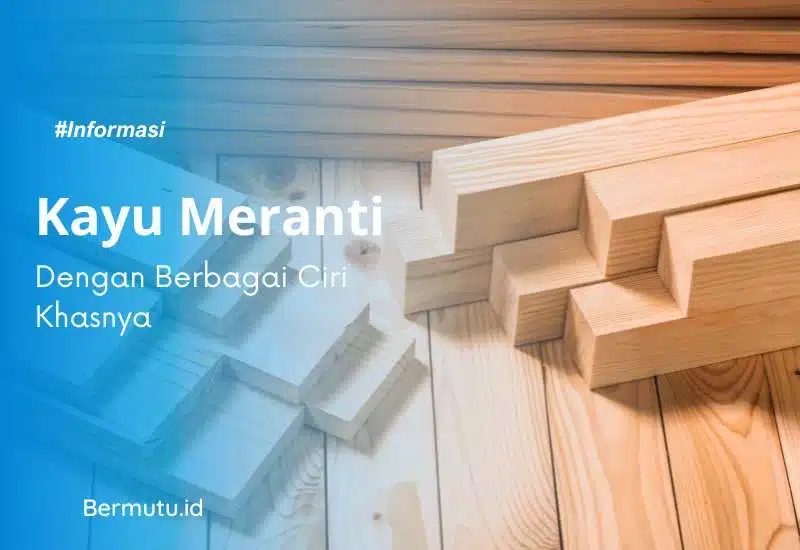 Ciri Khas Kayu Meranti yang Menarik Untuk Dibahas 2 ciri khas kayu meranti