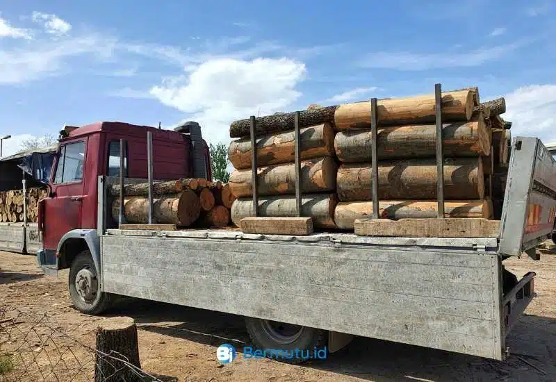 harga kayu merbau mentah