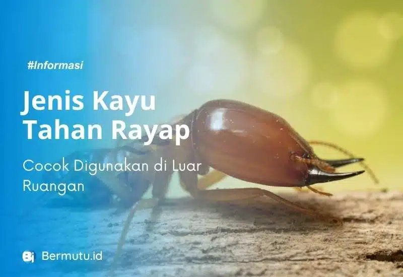 jenis kayu tahan rayap