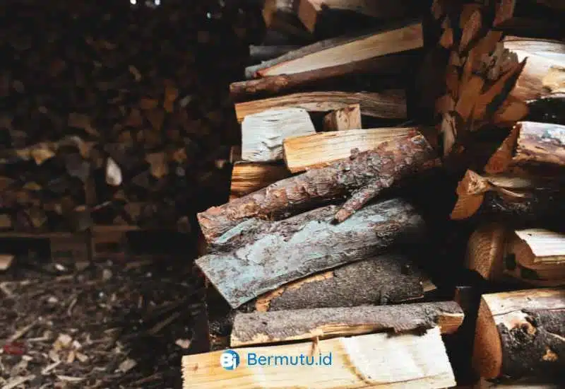 kayu cendana