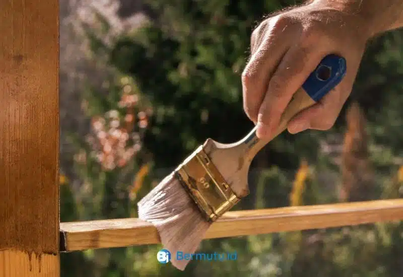 kayu damar laut (5)