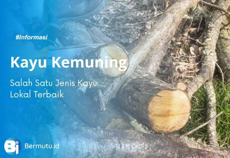 kayu kemuning