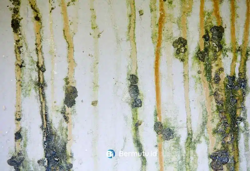 kekurangan wall gypsum