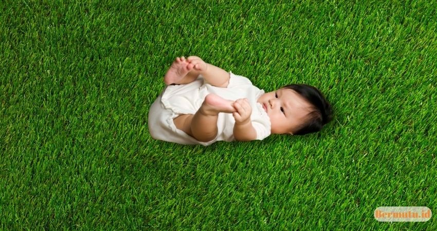 Ingin Gunakan Lantai Rumput Sintetis? Simak Kelebihan dan Kekurangannya 6 rumput sintetis Aman dan Bertekstur Empuk